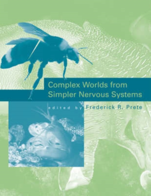 Complex Worlds from Simpler Nervous Systems, Paperback / softback Book