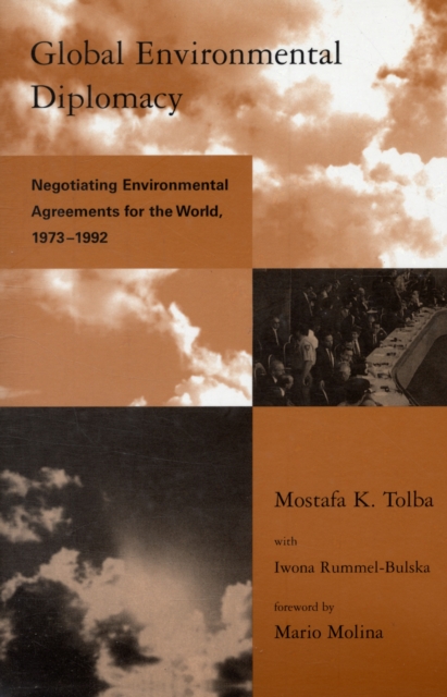 Global Environmental Diplomacy : Negotiating Environmental Agreements for the World, 1973-1992, Paperback / softback Book