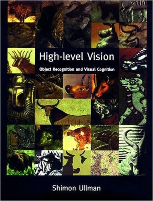 High-Level Vision : Object Recognition and Visual Cognition, Paperback / softback Book