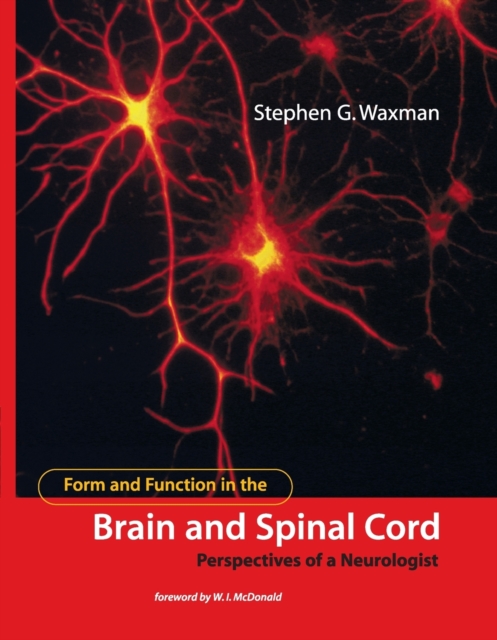 Form and Function in the Brain and Spinal Cord : Perspectives of a Neurologist, Paperback / softback Book