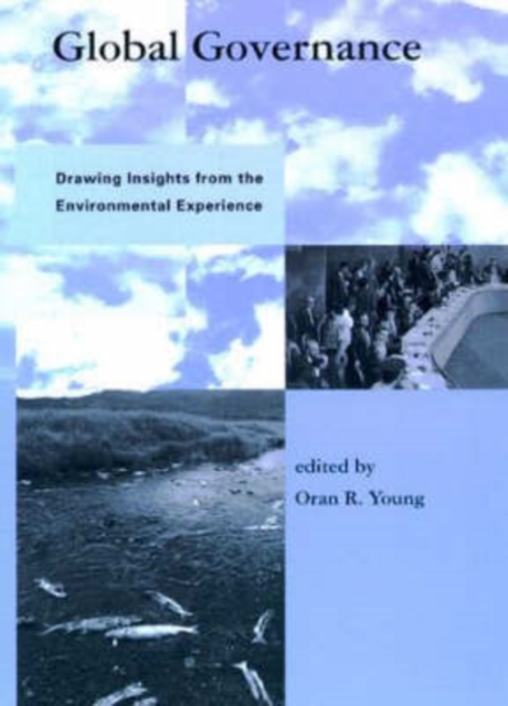 Global Governance : Drawing Insights from the Environmental Experience, Paperback / softback Book