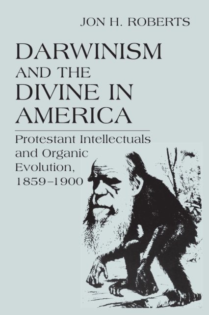 Darwinism and the Divine in America : Protestant Intellectuals and Organic Evolution, 1859–1900, Paperback / softback Book