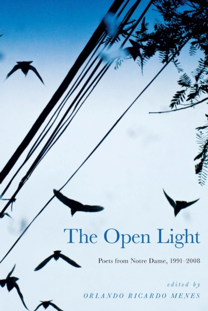 The Open Light : Poets from Notre Dame, 1991-2008, PDF eBook