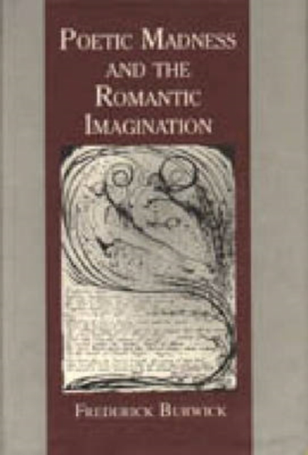 Poetic Madness and the Romantic Imagination, Hardback Book