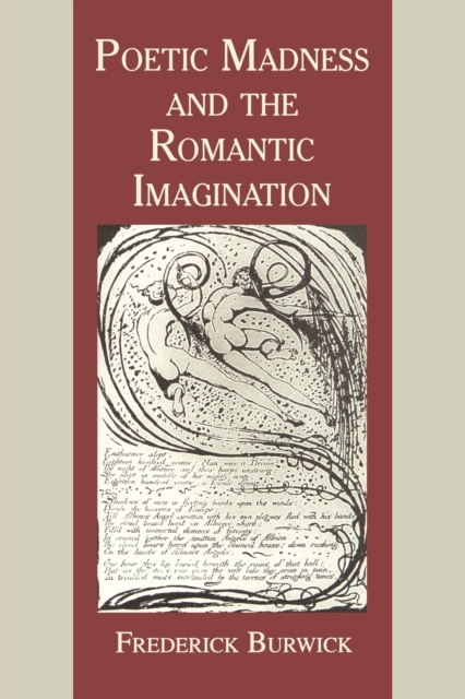 Poetic Madness and the Romantic Imagination, Paperback / softback Book