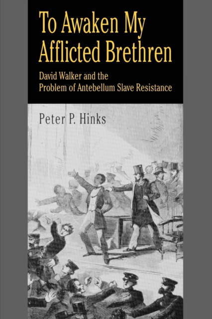 To Awaken My Afflicted Brethren : David Walker and the Problem of Antebellum Slave Resistance, Paperback / softback Book