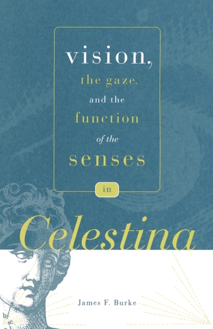 Vision, the Gaze, and the Function of the Senses in "Celestina", Paperback / softback Book