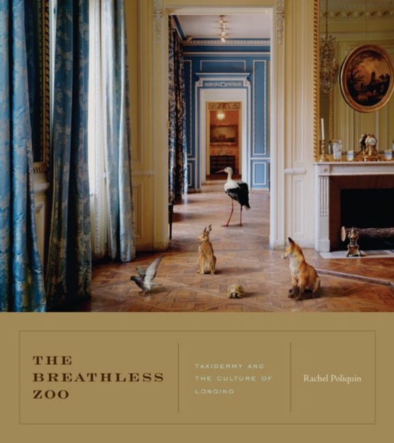 The Breathless Zoo : Taxidermy and the Cultures of Longing, Hardback Book