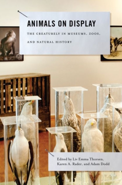 Animals on Display : The Creaturely in Museums, Zoos, and Natural History, Hardback Book