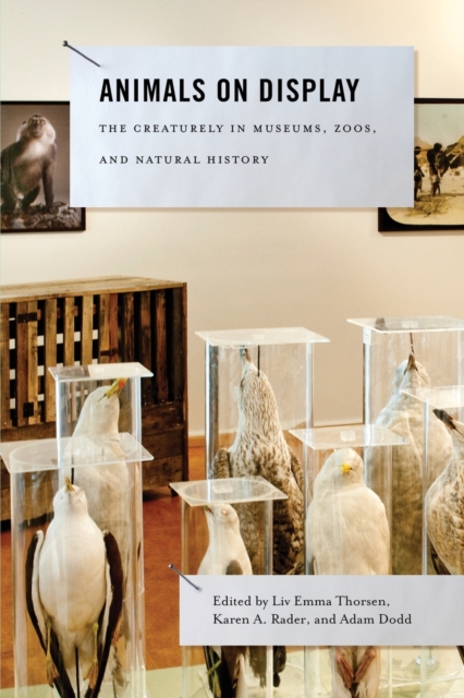 Animals on Display : The Creaturely in Museums, Zoos, and Natural History, Paperback / softback Book