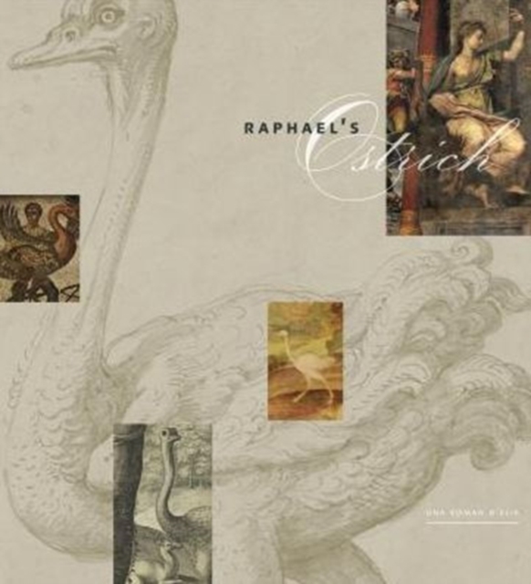 Raphael’s Ostrich, Hardback Book
