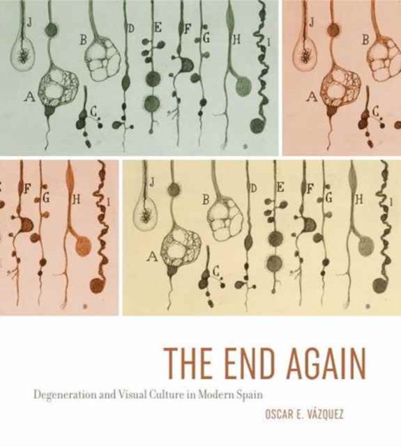 The End Again : Degeneration and Visual Culture in Modern Spain, Hardback Book