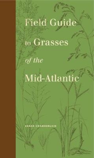 Field Guide to Grasses of the Mid-Atlantic, Paperback / softback Book