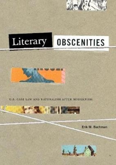 Literary Obscenities : U.S. Case Law and Naturalism after Modernism, Hardback Book