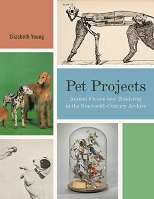 Pet Projects : Animal Fiction and Taxidermy in the Nineteenth-Century Archive, Hardback Book
