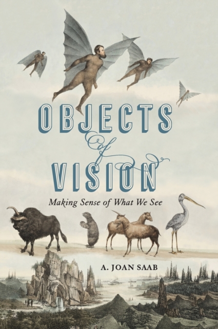 Objects of Vision : Making Sense of What We See, Hardback Book