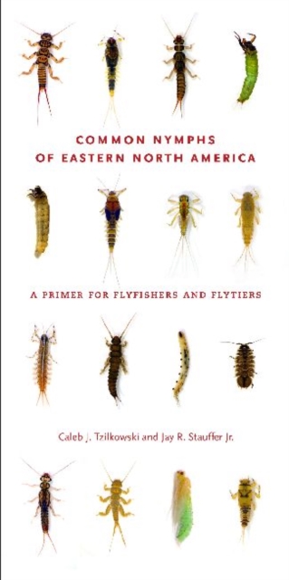 Common Nymphs of Eastern North America : A Primer for Flyfishers and Flytiers, Paperback / softback Book