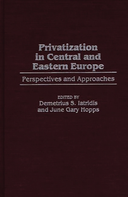 Privatization in Central and Eastern Europe : Perspectives and Approaches, Hardback Book