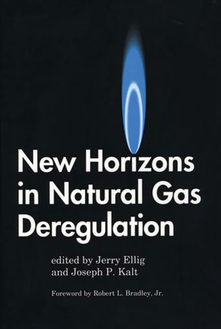 New Horizons in Natural Gas Deregulation, Hardback Book