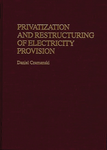 Privatization and Restructuring of Electricity Provision, Hardback Book