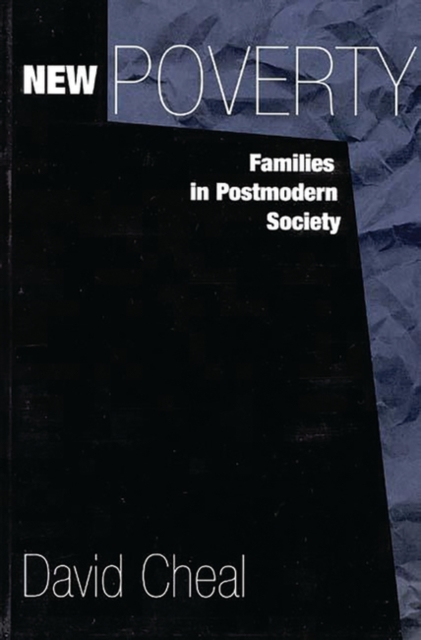 New Poverty : Families in Postmodern Society, Paperback / softback Book