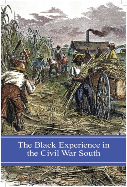 The Black Experience in the Civil War South, Hardback Book