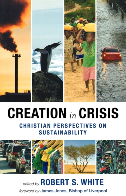 Creation in Crisis : Christian Perspectives on Sustainability, Paperback / softback Book