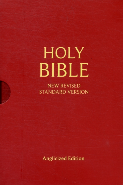 NRSV Holy Bible, Leather / fine binding Book