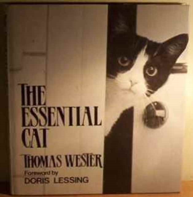 The Essential Cat, Hardback Book