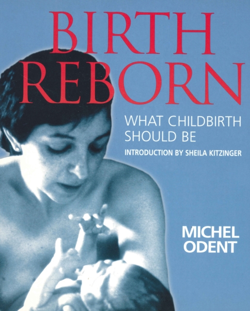 Birth Reborn : What Childbirth Should Be, Paperback / softback Book