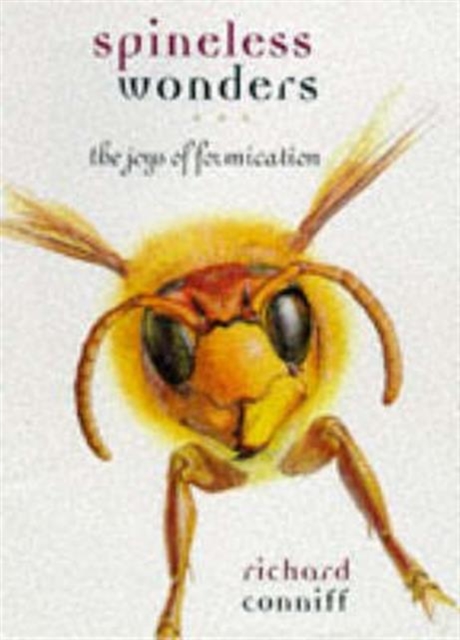 Spineless Wonders : The Joys of Formication, Hardback Book