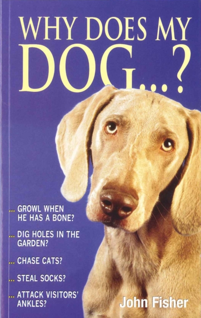 Why Does My Dog...?, Paperback / softback Book