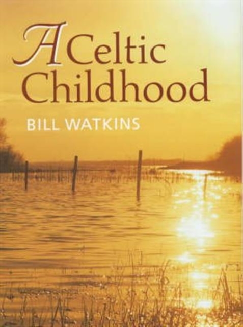 Celtic Childhood, Hardback Book