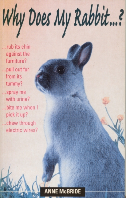 Why Does My Rabbit...?, EPUB eBook