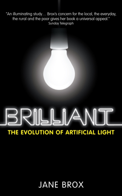 Brilliant : The Evolution of Artificial Light, Paperback / softback Book