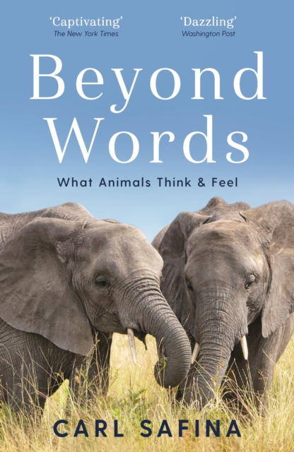 Beyond Words : What Animals Think and Feel, EPUB eBook