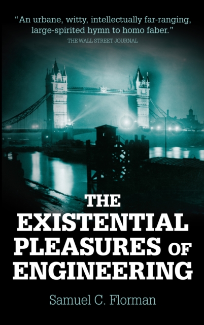 The Existential Pleasures of Engineering, Paperback / softback Book