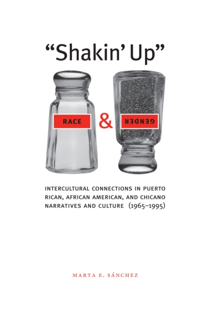 Shakin' Up Race and Gender : Intercultural Connections in Puerto Rican, African American, and Chicano Narratives and Culture (1965-1995), Paperback / softback Book