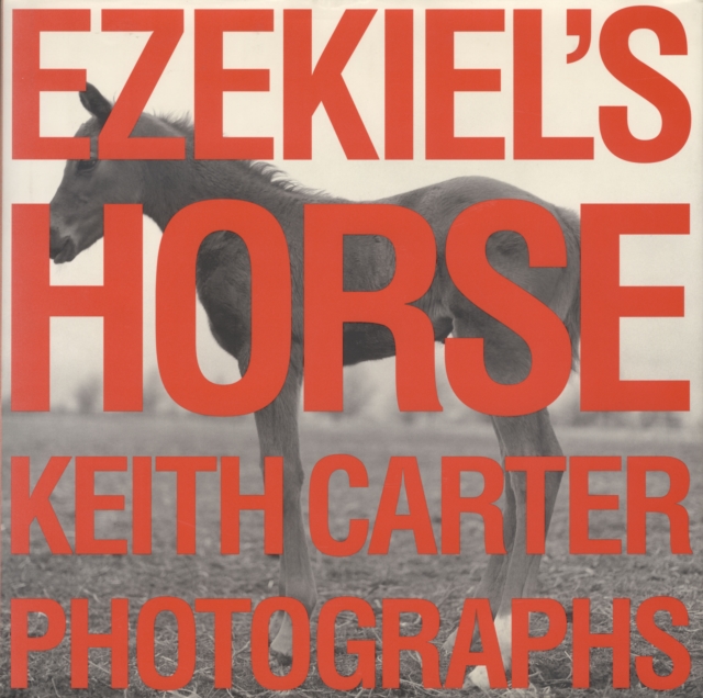 Ezekiel's Horse, Hardback Book