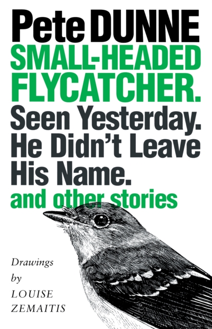 Small-headed Flycatcher. Seen Yesterday. He Didn't Leave His Name. : and other stories, Paperback / softback Book
