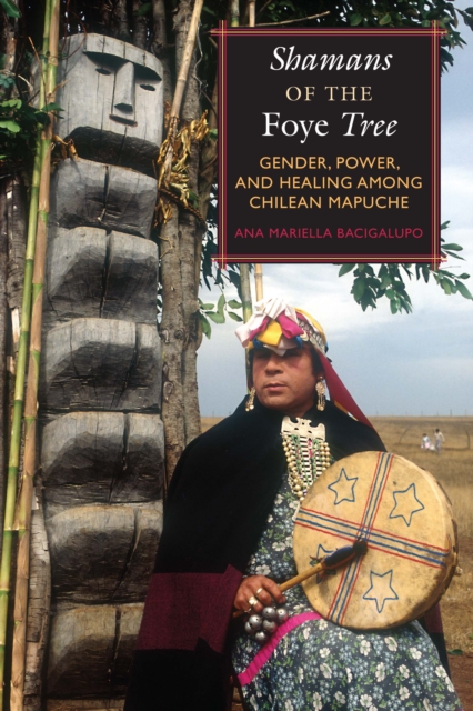 Shamans of the Foye Tree : Gender, Power, and Healing among Chilean Mapuche, Paperback / softback Book