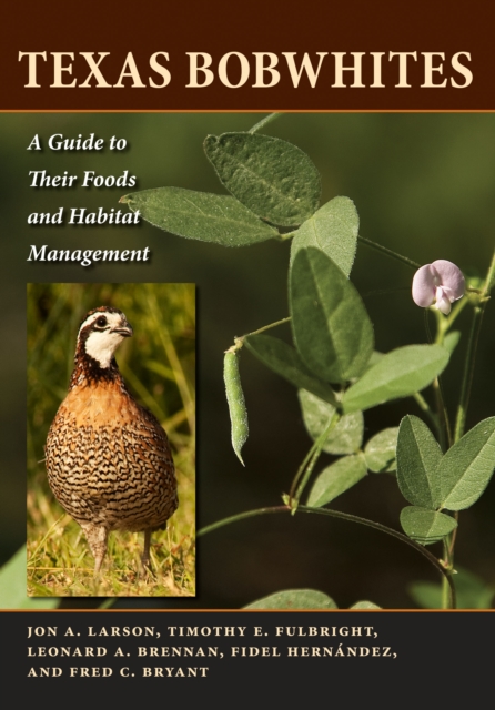 Texas Bobwhites : A Guide to Their Foods and Habitat Management, Paperback / softback Book