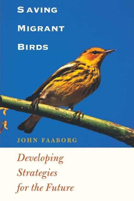 Saving Migrant Birds : Developing Strategies for the Future, Paperback / softback Book