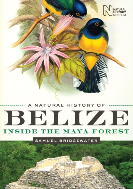 A Natural History of Belize : Inside the Maya Forest, Hardback Book