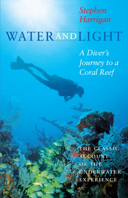 Water and Light : A Diver's Journey to a Coral Reef, Paperback / softback Book