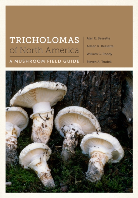 Tricholomas of North America : A Mushroom Field Guide, Paperback / softback Book