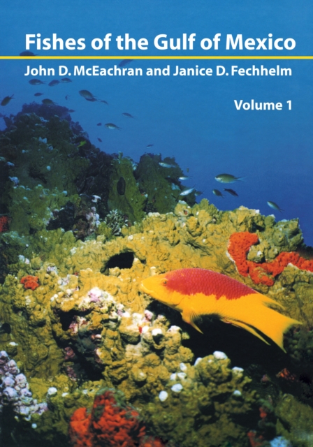 Fishes of the Gulf of Mexico, Vol. 1 : Myxiniformes to Gasterosteiformes, Hardback Book