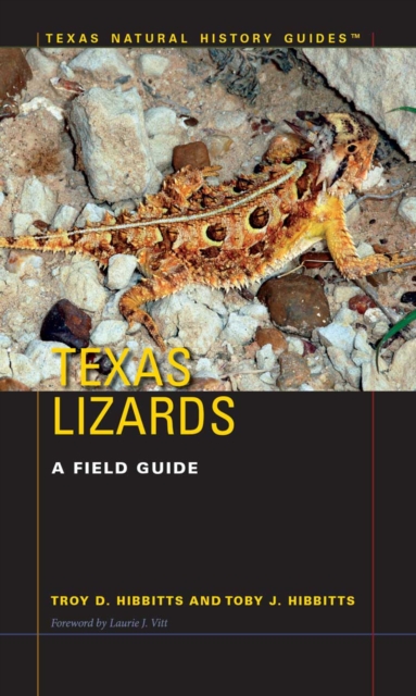 Texas Lizards : A Field Guide, Paperback / softback Book