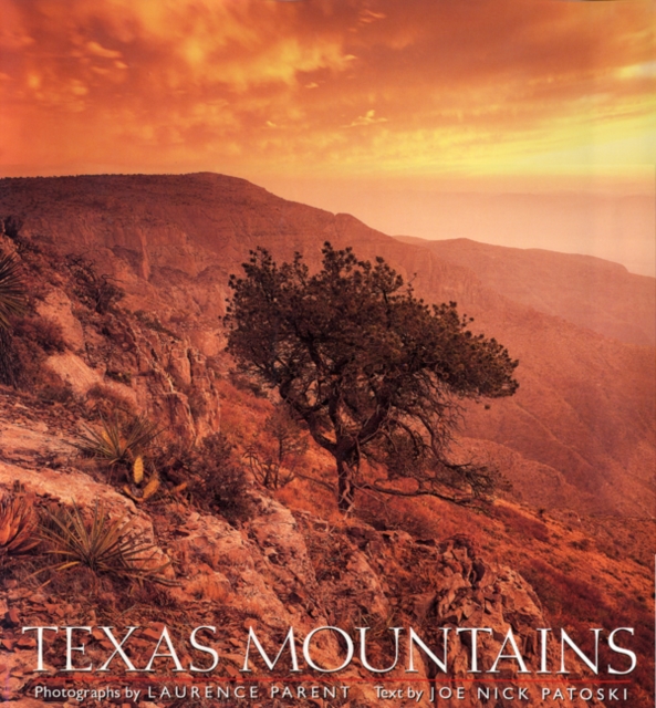 Texas Mountains, Hardback Book