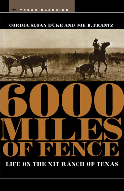 6000 Miles of Fence, Paperback / softback Book